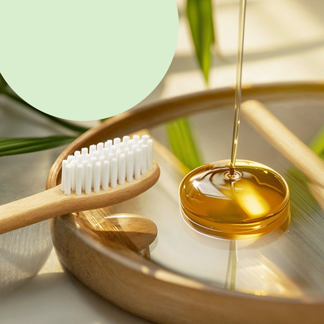 Eco-Friendly Bamboo Toothbrush 